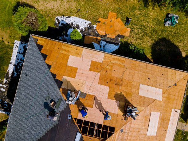 Best Metal Roofing Contractor  in Seven Lakes, NC