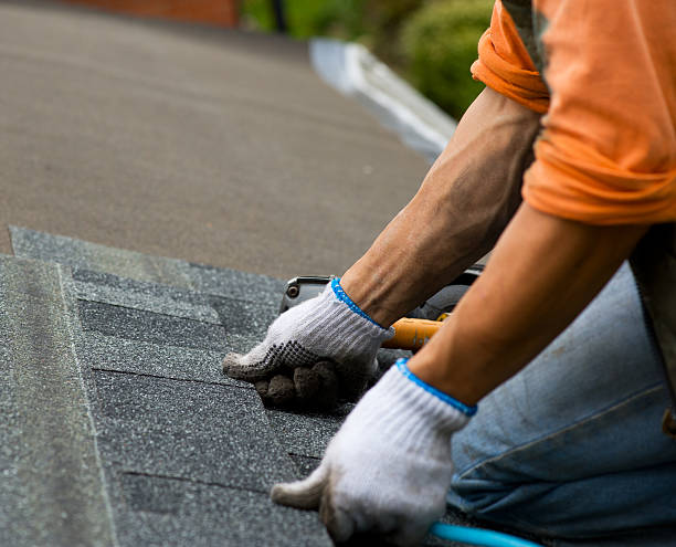 Best Roof Gutter Cleaning  in Seven Lakes, NC